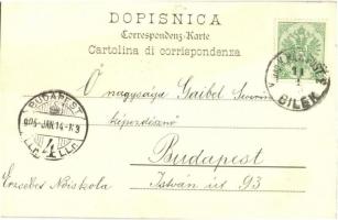 1905 Dubrovnik, Ragusa; Pile / street view, ladies in traditional costumes montage. Lederer & Po...