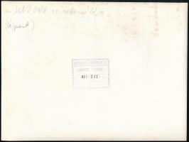 1941 Újpesti Ganz hajógyár az Ungvár hajó vízre bocsájtása. Pecséttel jelzett fotó 24x18 cm