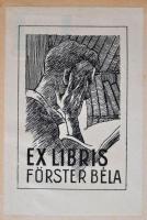 Pécsi József: A fényképező művészete. A kötéstábla litografált címlapját Dagobert Peche (1887-1923) ...