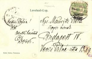 1906 Pancsova, Pancevo; Agentie / Hajóállomás, "Mátyás király" oldalkerekes gőzös, Népbank...