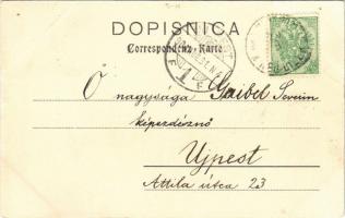 1904 Land und Leute in Bosnien u. Herzegovina. Türkischer Limonadeverkäufer / Turkish lemonade selle...