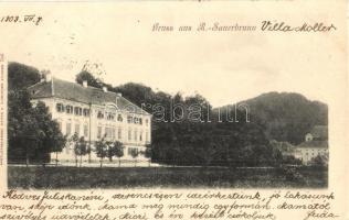 1903 Rogaska Slatina, Rohitsch-Sauerbrunn; Villa Moller. R. Mosinger 766.