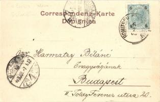 1903 Rogaska Slatina, Rohitsch-Sauerbrunn; Villa Moller. R. Mosinger 766