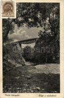 21 db RÉGI kárpátaljai városképes lap / 21 pre-1945 Transcarpathian town-view postcards