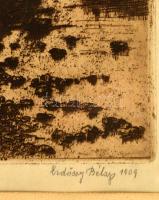 Erdőssy Béla (1871-1928): Szamospart. Rézkarc, papír, jelzett, üvegezett keretben, 29×39 cm