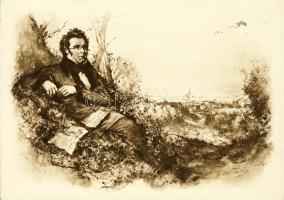 Franz Schubert Ga., Franz Schubert Musicien Ga.