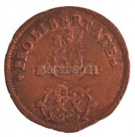 1705. XX Poltura Cu "II. Rákóczi Ferenc" (17g) T:2- ph.   Hungary 1705. XX Poltura "F...