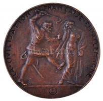 Esseő Erzsébet (1883-1954) 1923. "Die weisse Schmach (Fehér Szégyen) 1923" Br emlékérem (7...