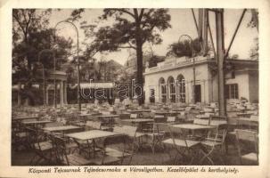 Budapest XIV. Városliget, Központi Tejcsarnok Tejivócsarnoka, Kezelőépület és kerthelyiség. Budapesti Központi Általános Tejcsarnok Rt. kiadása (EK)