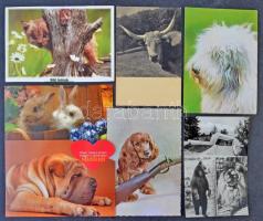 Kb. 200 db MODERN állatos motívumlap / Cca. 200 modern animal motive postcards