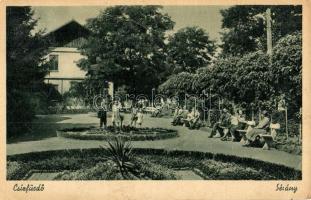 Csíz, Csízfürdő, Kúpele Cíz; sétány, nyaraló / promenade, park, villa (gyűrődés / crease)