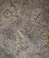 cca 1800  Ón tál, jelzett, pereme sérült, d: 22,5 cm