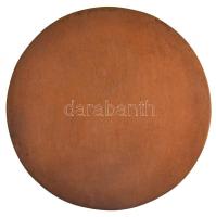 DN "Baranya Megyei Közgyűlés Területfejlesztési Díja" egyoldalas Br plakett, eredeti díszt...