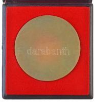 Vígh Tamás (1926-) 1972. "Petőfi" egyoldalas Br plakett, eredeti dísztokban (116,5mm) T:1-...