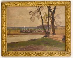 Major jelzéssel: Fák a vízparton. Olaj, karton, keretben, 34×44 cm