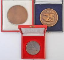 Szabó Iván (1913-1998) DN "Szalvay Mihály 1899-1955" egyoldalas Br plakett, dísztokban ado...