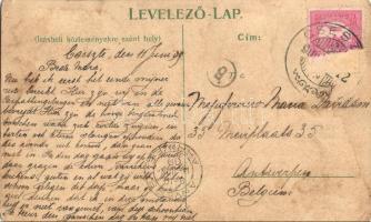 1909 Cseszte, Schattmannsdorf, Castá; Temető kápolna, látkép, Vöröskő vára, Templom, iskola és plébá...