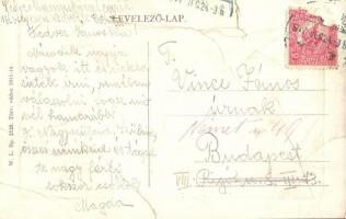 1917 Nagykikinda, Kikinda; Ferenc József tér, piac, lovaskocsik. W. L. Bp. 2129. / square, market, h...