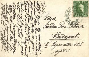 1915 Zrínyi Miklós oldalkerekes személyszállító gőzhajó, legénység  kapitánnyal és kutyákkal / Hunga...