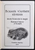 Borszék története képekben. 2004. Borszékért Alapítvány 110 oldal / Postcards of Borsec. 2004. 110 p...