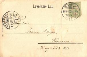 1905 Budapest XIV. Városliget, híd és tó, csónakázók. Taussig Arthur 5326. (EK)