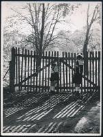 cca 1939 Korschelt Miklós (1900-1982) budapesti festő- és fotóművész hagyatékából 3 db, szerzői pecs...