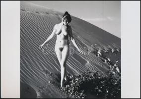 cca 1978 Felnőtt játékok, szolidan erotikus felvételek, 7 db vintage negatív (6x6 cm) + 11 vintage f...