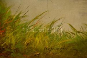 Cserpeghi jelzéssel: Kacsavadászat, olaj, vászon, fa keretben, 68,5×43 cm