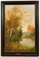 Cserpeghi jelzéssel: Kacsavadászat, olaj, vászon, fa keretben, 68,5×43 cm