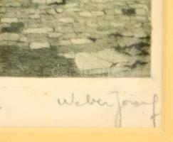 Weber József (?-?): Tabáni udvar, rézkarc, papír, jelzett, paszpartuban, üvegezett fa keretben, 27×1...
