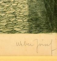 Weber József (?-?): Aranykacsa utca, rézkarc, papír, jelzett, paszpartuban, üvegezett fa keretben, 2...