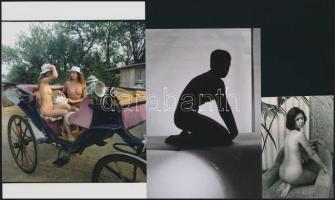 cca 1973 Örök fiatalság, szolidan erotikus felvételek, 7 db vintage negatív (24x36 mm) + 11 db vinta...