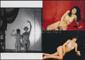 cca 1979 Femini gyönyörök, szolidan erotikus felvételek, 6 db vintage negatív + 10 db vintage fotó é...