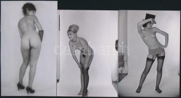 cca 1979 Femini gyönyörök, szolidan erotikus felvételek, 6 db vintage negatív + 10 db vintage fotó é...