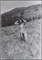 cca 1987 Egy öreg objektív meséi, szolidan erotikus felvételek, 9 db vintage negatív + 11 db vintage...