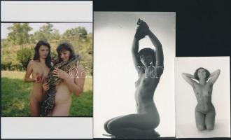 cca 1987 Egy öreg objektív meséi, szolidan erotikus felvételek, 9 db vintage negatív + 11 db vintage...