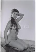 cca 1976 Ex-pozíciók, szolidan erotikus felvételek, 9 db vintage negatív + 9 db vintage fotó és/vagy...