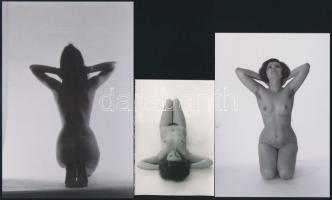 cca 1976 Ex-pozíciók, szolidan erotikus felvételek, 9 db vintage negatív + 9 db vintage fotó és/vagy...