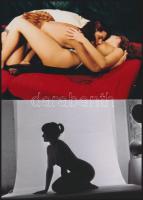 cca 1976 Ex-pozíciók, szolidan erotikus felvételek, 9 db vintage negatív + 9 db vintage fotó és/vagy...