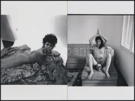 cca 1973 Válogatás a titkos akt-aktákból, szolidan erotikus felvételek, 8 db vintage negatív + 10 db...