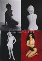 cca 1973 Válogatás a titkos akt-aktákból, szolidan erotikus felvételek, 8 db vintage negatív + 10 db...