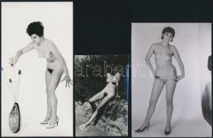 cca 1973 Válogatás a titkos akt-aktákból, szolidan erotikus felvételek, 8 db vintage negatív + 10 db...