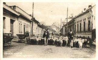 Liptószentmiklós, Liptovsky Mikulás; Cesta legionárov / utcakép, juhpásztorok nyájat terelnek az úton, üzletek / street view, shepherds herding the sheep across town. photo (EK)