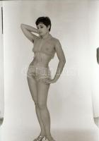 cca 1973 Sellő, pikkely nélkül, szolidan erotikus felvételek, 8 db vintage negatív, 24x36 mm