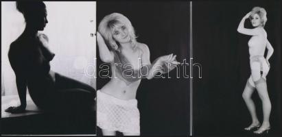 cca 1987 Bájos idomok, szolidan erotikus felvételek, 6 db vintage negatív + 9 db vintage fotó és/vag...