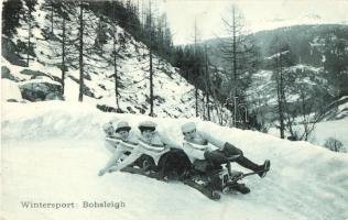 Winter sport, Bobsleigh race. four-men controllable bobsleigh