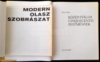 Vegyes művészeti könyvtétel, 2 db: 

Tátrai Vilmos: Közép-Itáliai cinquecento festmények. Bp.,1983...