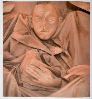 Wehner Tibor: Melocco Miklós. Bp., 2005, Helikon. Kiadói egészvászon-kötés, kiadói papír védőborítób...