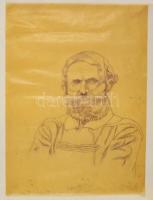 1917 A kisledniczi Ledniczky család címerének nagyméretű rajza, 46x58 cm + a család egyik tagjának  ...