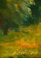 Olvashatatlan jelzéssel: Folyópart. Olaj, falemez, keretben, 40×51 cm